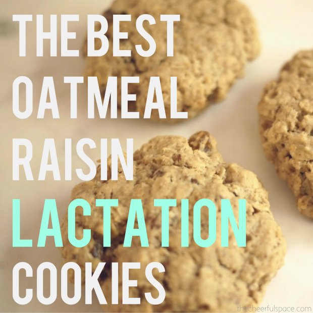 oatmeal-raisin-lactation-cookies-24-pin