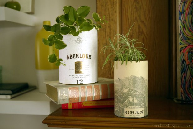 scotch-canister-planters-12