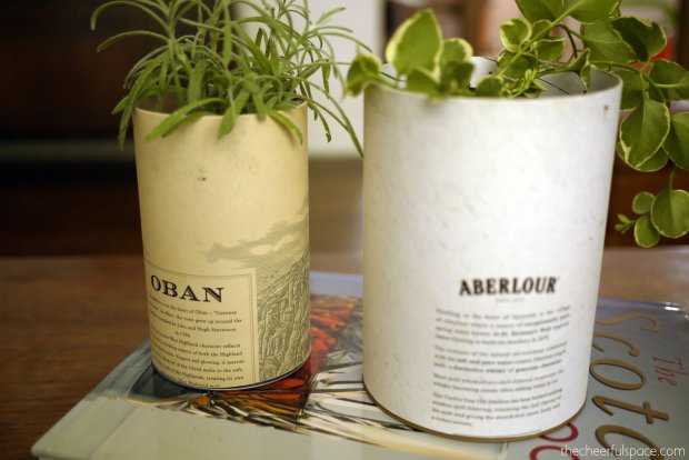 scotch-canister-planters-14