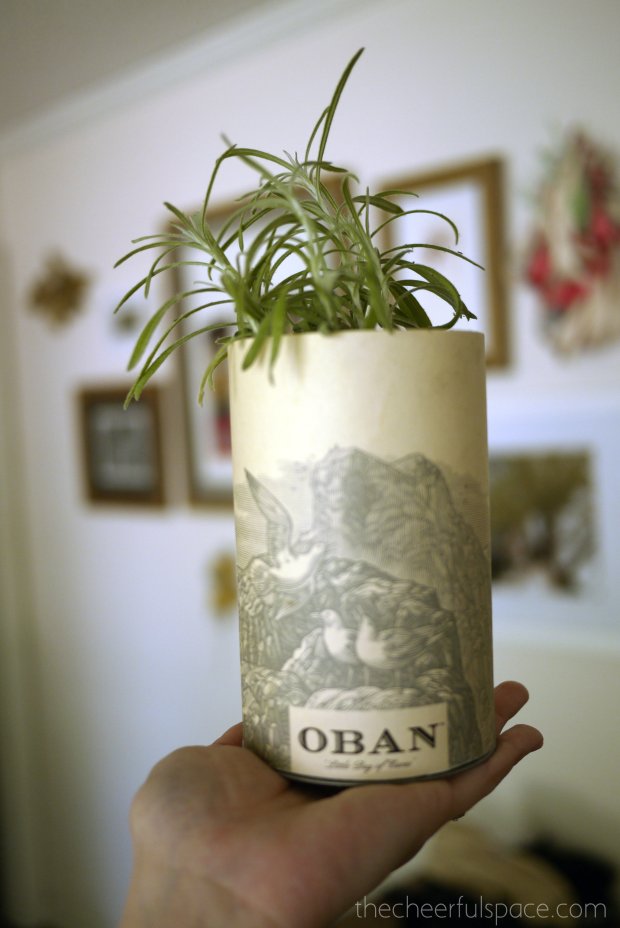 scotch-canister-planters-17