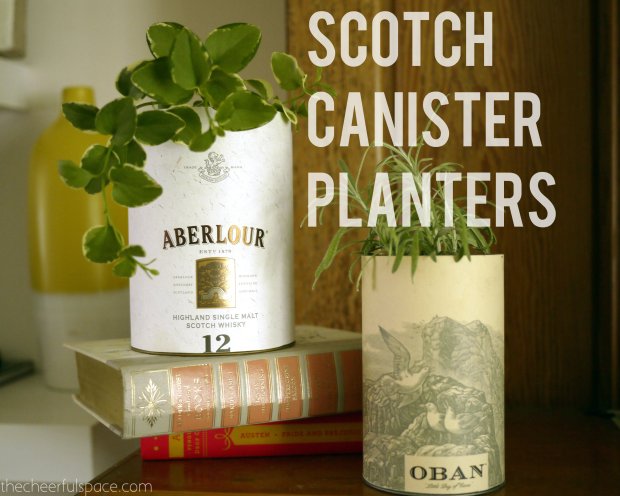 scotch-canister-planters-19