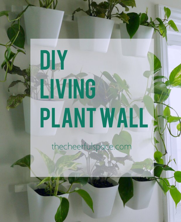 living-plant-wall-2-pin